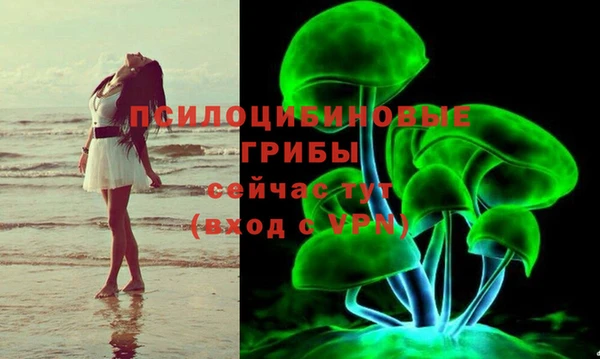 синтетический гашиш Зеленодольск