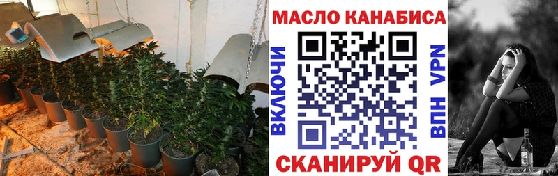 наркота  Сургут  ТГК гашишное масло 